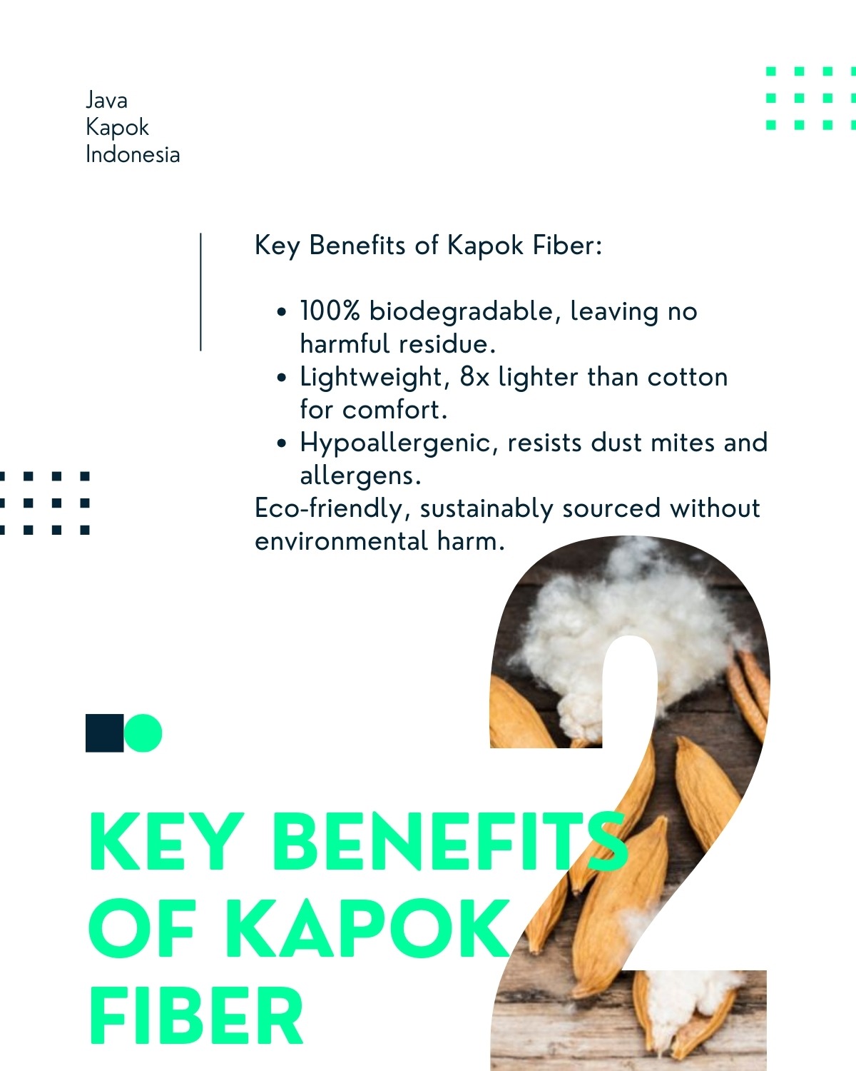 Blog Post: Key Benefits of Kapok Fiber