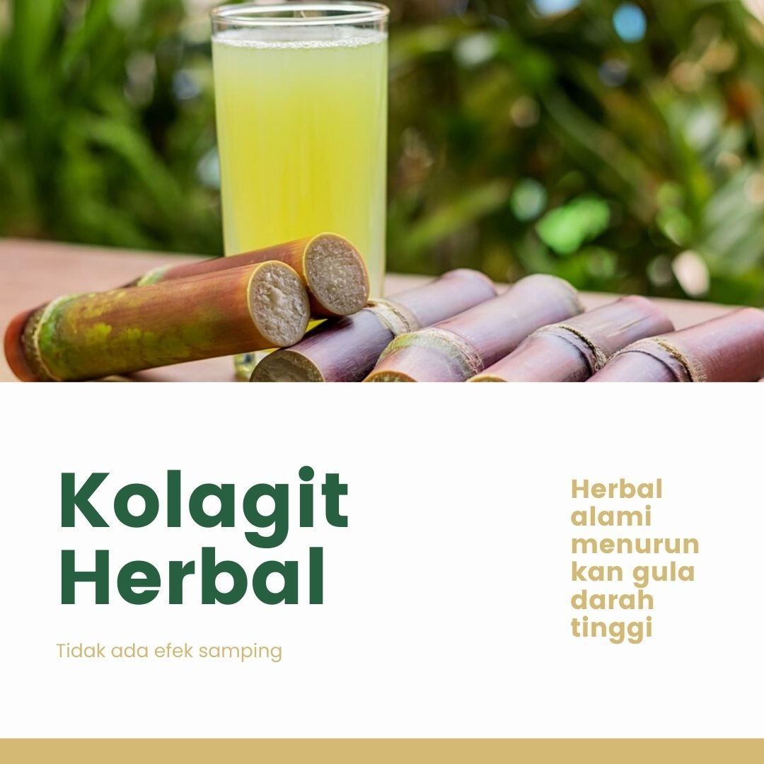 Herbal Diabetes dengan Kandungan Zat Alami Tebu untuk Menjaga Kestabilan Gula Darah