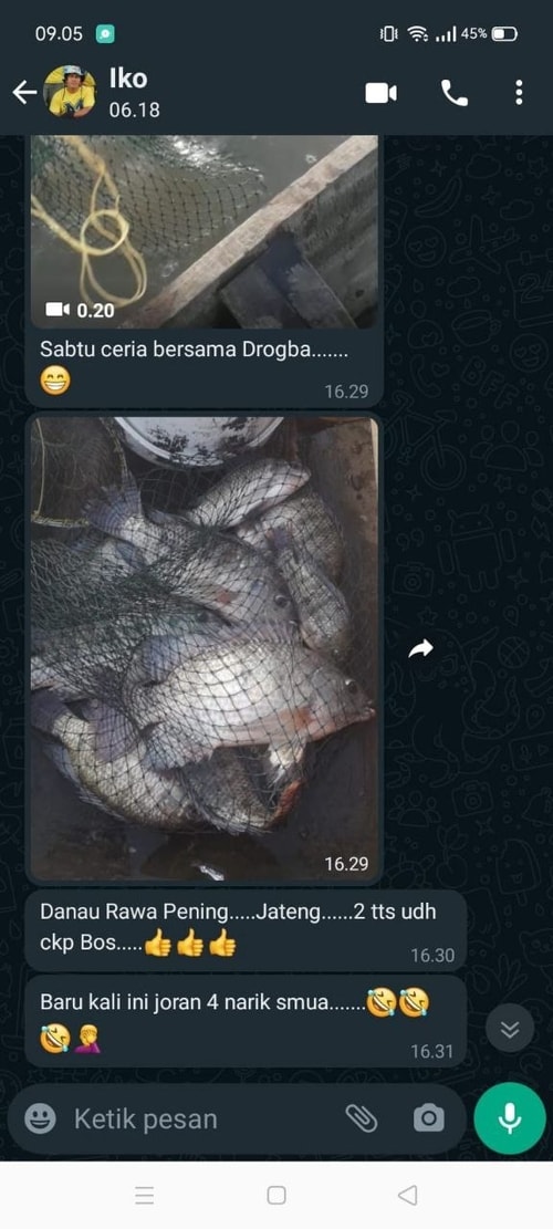 -