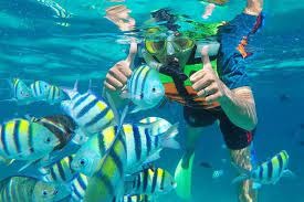 REKOMENDASI SNORKELING DI PANTAI PANGANDARAN