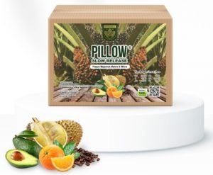 Pupuk Pillow Slow Release