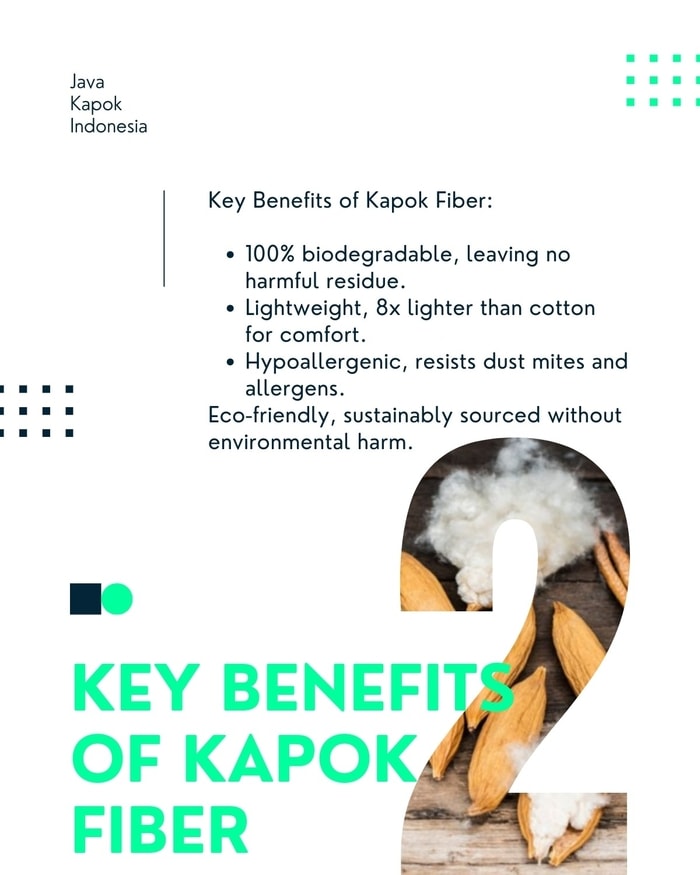 Blog Post: Key Benefits of Kapok Fiber