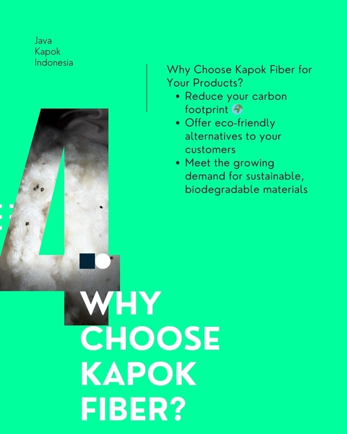 Blog Post: Why Choose Kapok Fiber for Your Products?