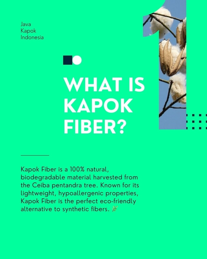 Blog Post: What is Kapok Fiber?