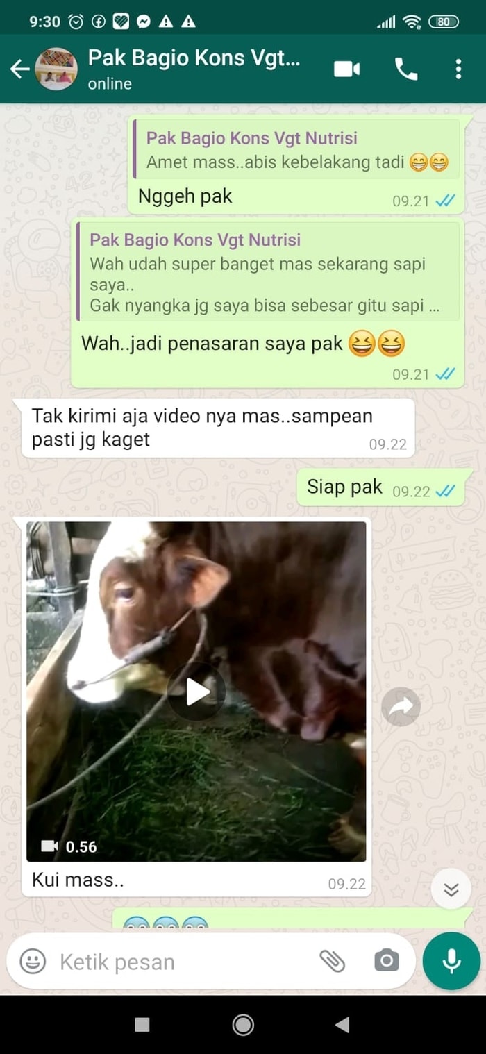 -