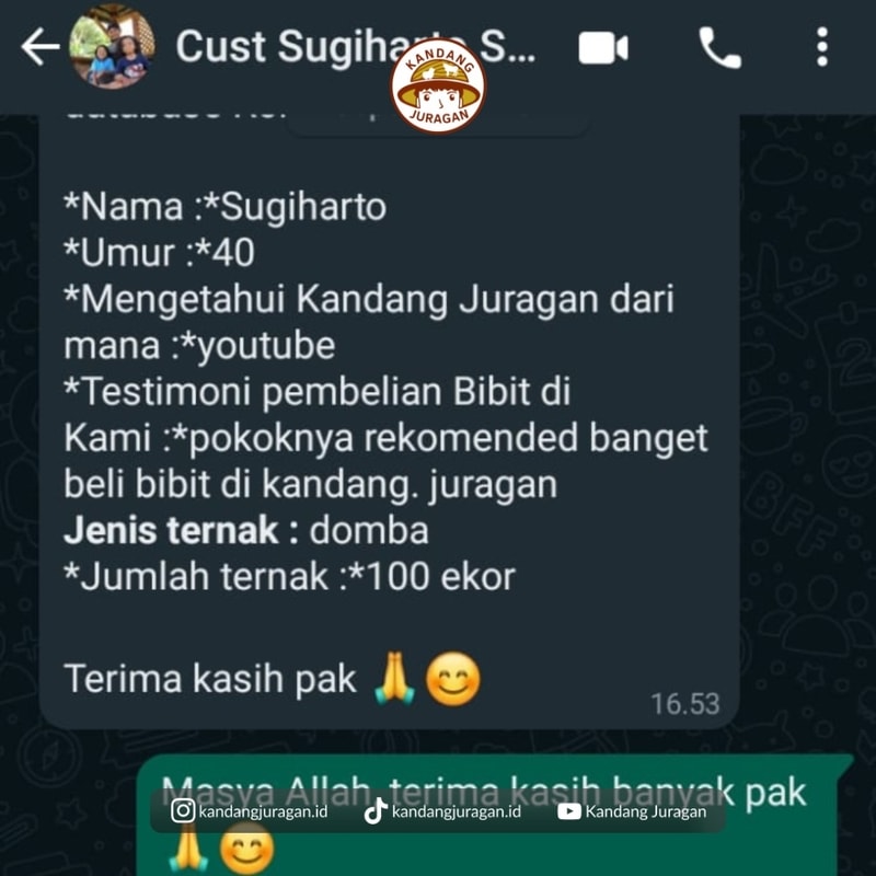 -