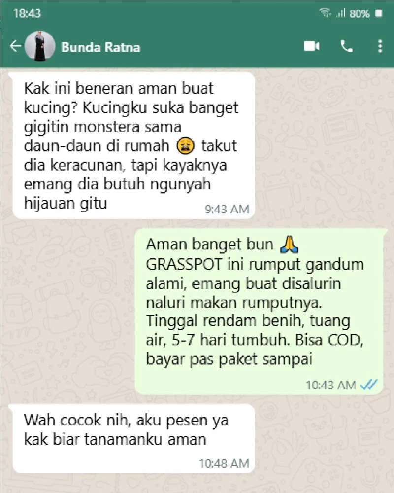 Testimoni pelanggan GRASSPOT