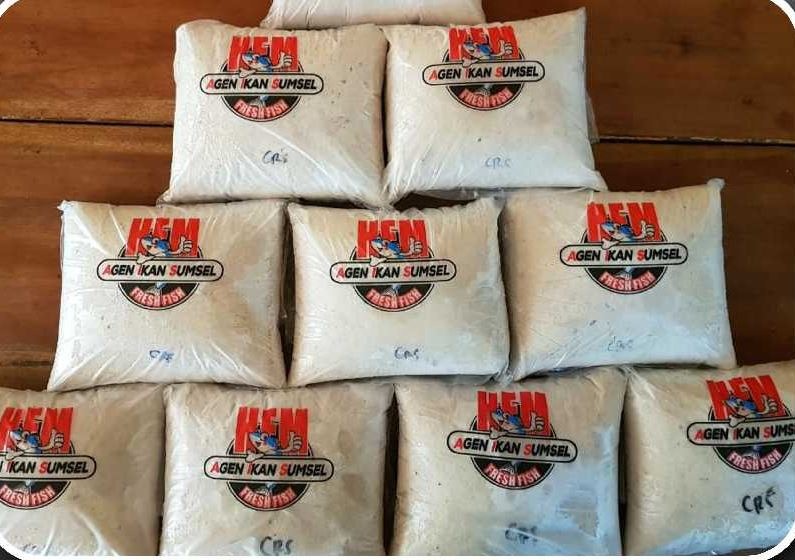 Ikan CRS