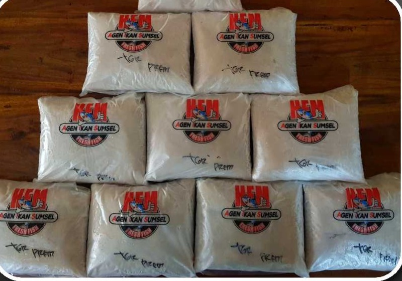 Tenggiri Premium