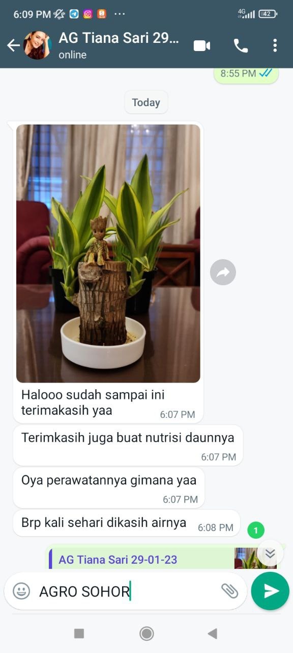 -