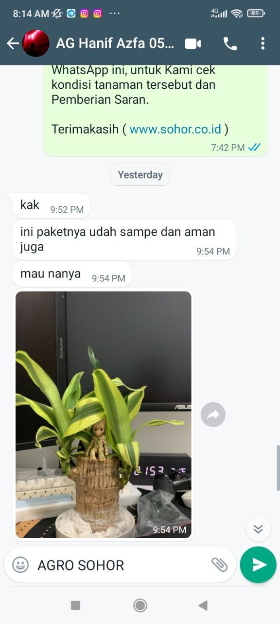 -