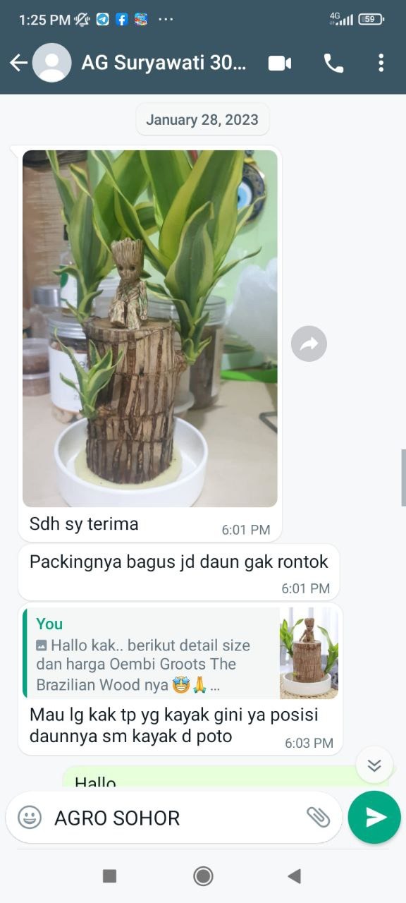 -