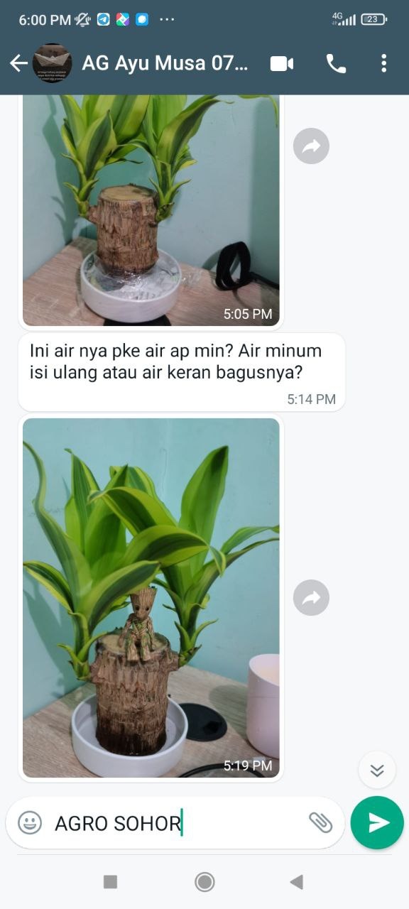 -