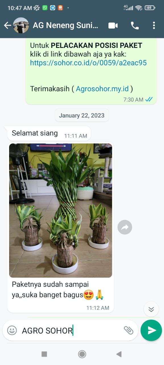 -