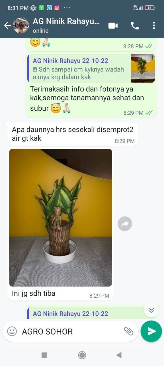 -