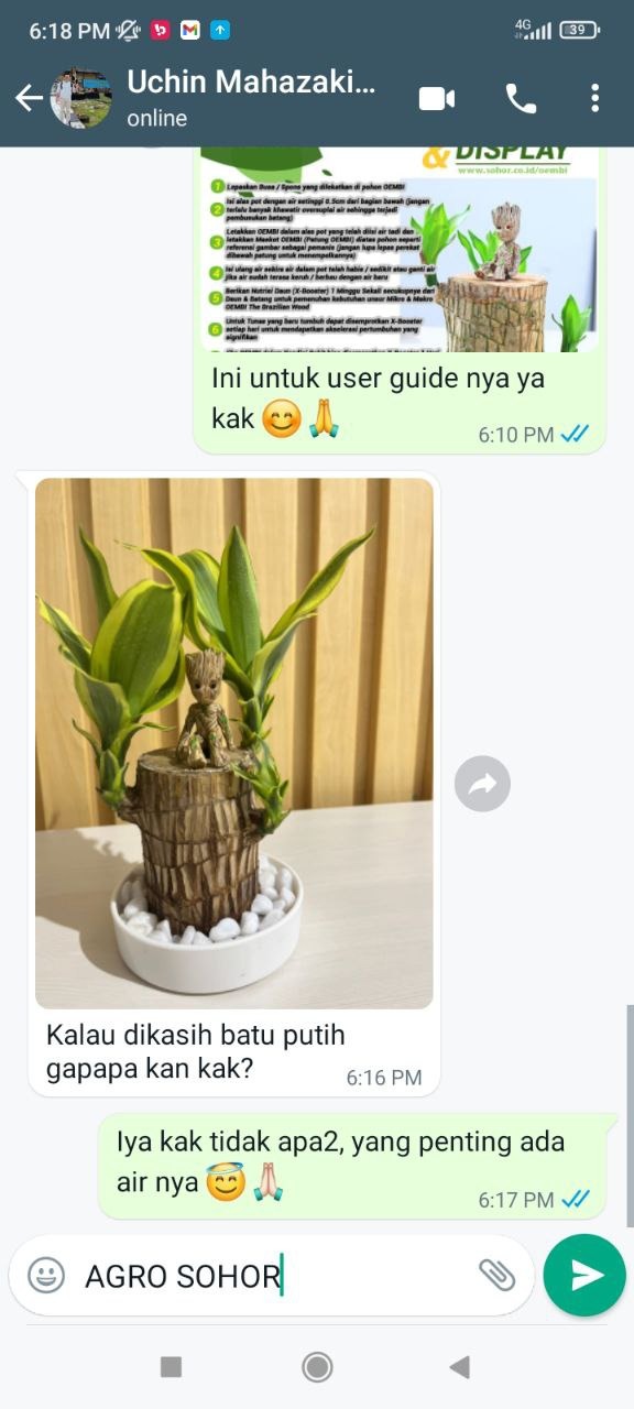 -