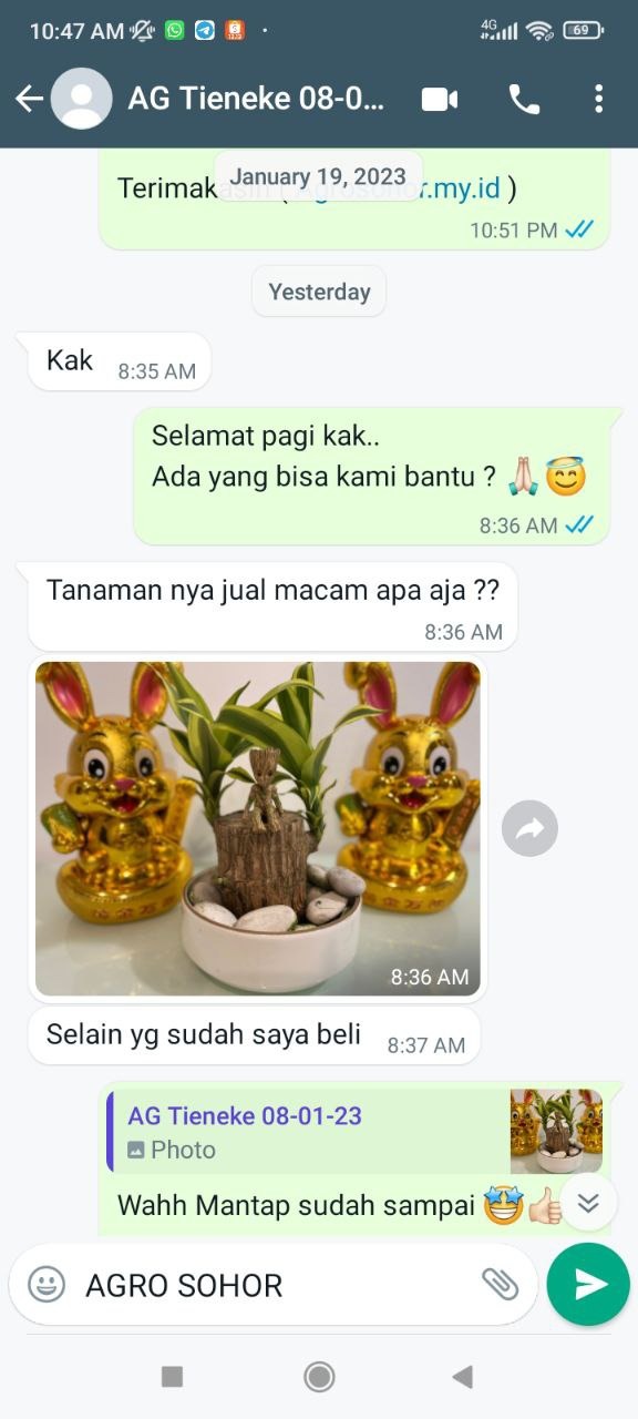 -