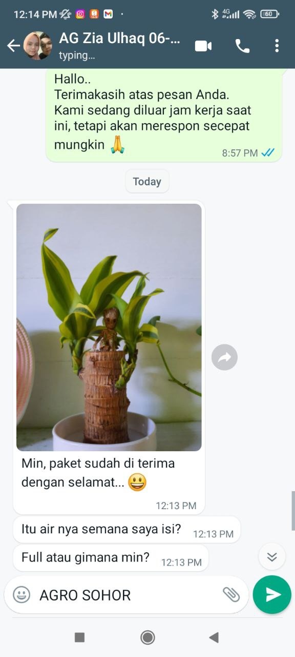 -