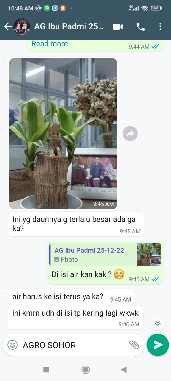 -