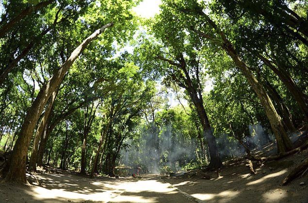 HUTAN CAGAR ALAM PANGANDARAN