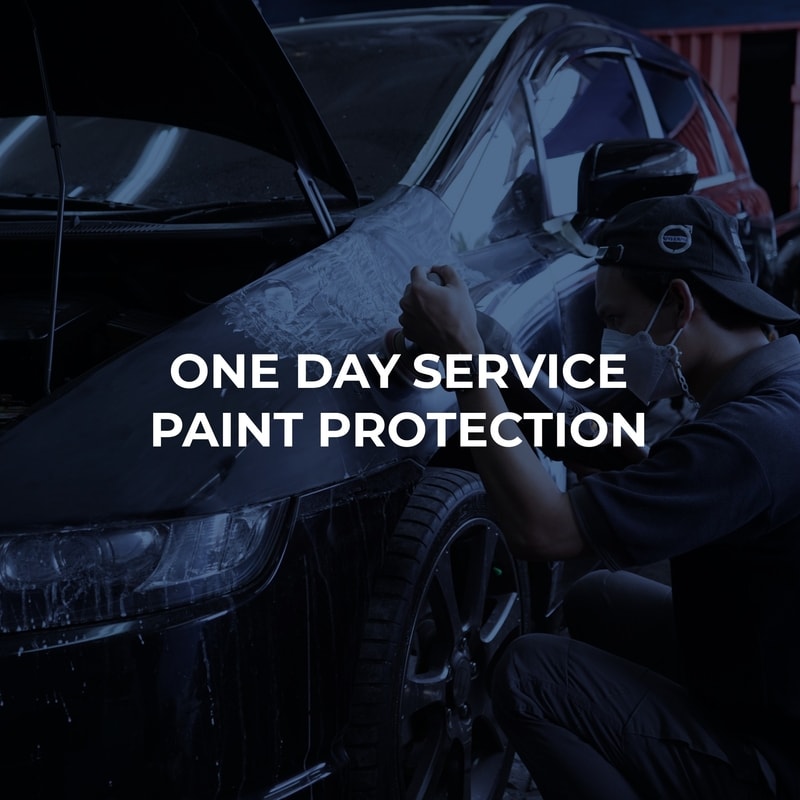 One Day Service Paint Protection