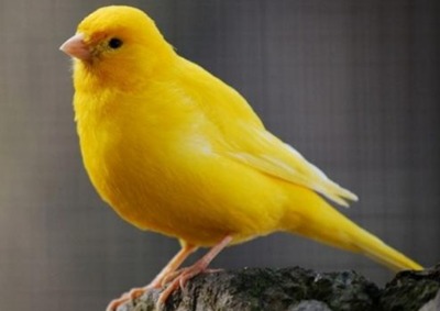 Alhamdulillah Gema Umroh Telah Mewujudkan Cita² Bisa Umroh Dengan Budget Terjangkau