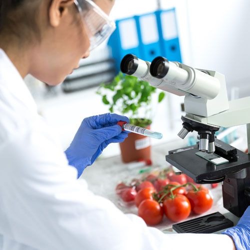 research and study for nutrition in fruit