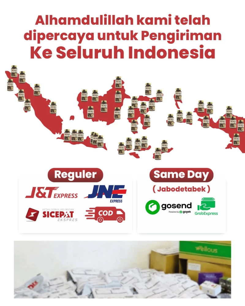 Pengiriman ke seluruh Indonesia